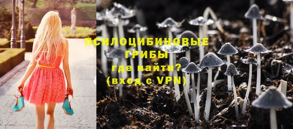 прущая мука Армянск