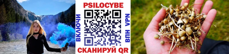 Галлюциногенные грибы Magic Shrooms  Давлеканово 